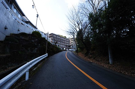 1101031525_DSC_8159