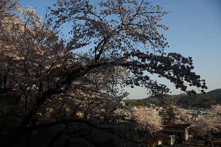 1104121710_DSC_4926