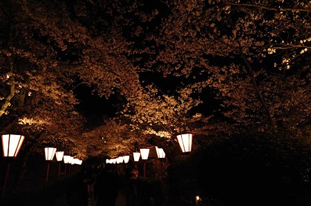 1104121935_DSC_9766