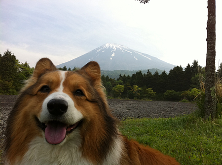 写真 5