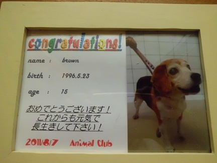 CIMG0334