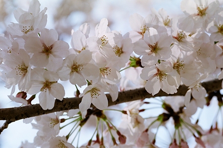 PICT0020
