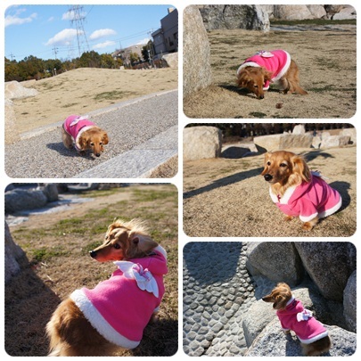 20120218 お散歩2