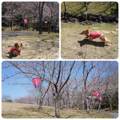 20120408 残念