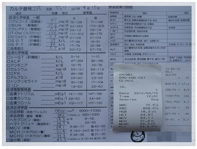 20120415 アドバンスドック(血液検査・心臓&肺のレントゲン)結果