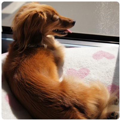 20120601 JURI