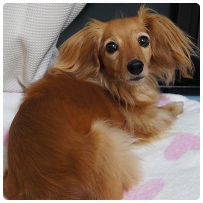 20120705 JURI