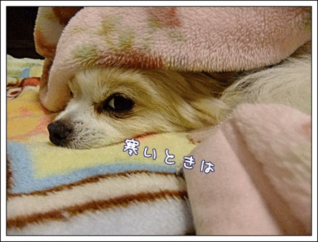 寒いとき