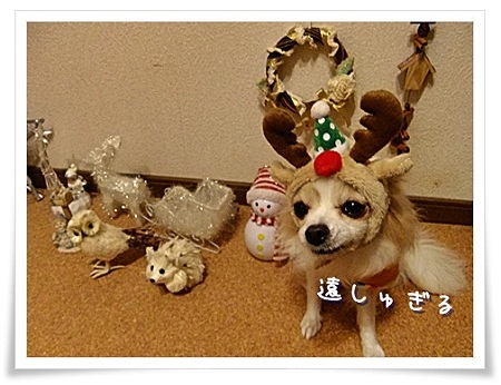 遠い