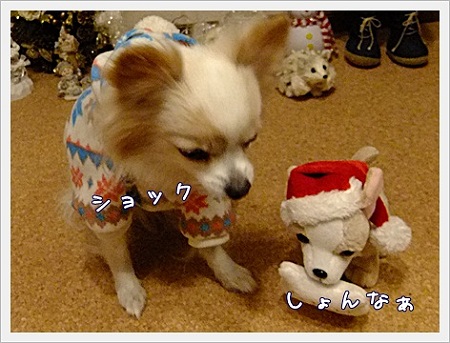 しょんな~