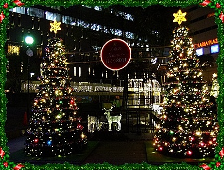 公園の池は……