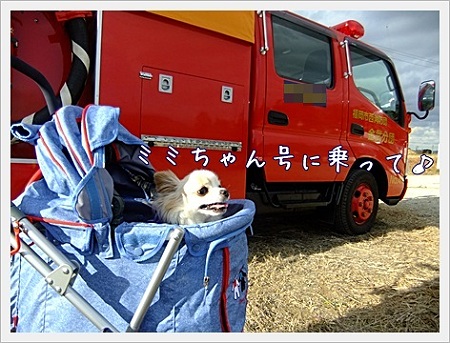 ミミちゃん号