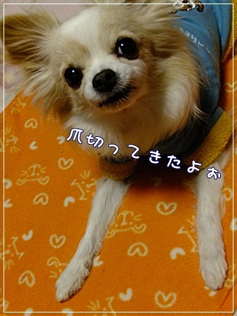 身だしなみ