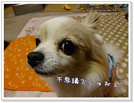 不思議