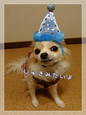 好き