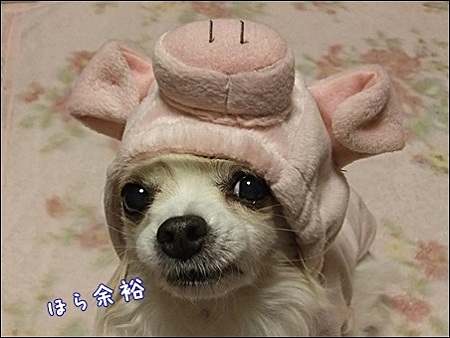 余裕