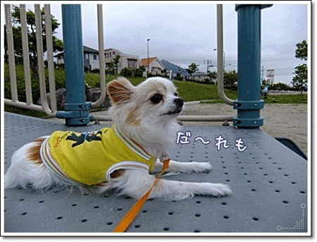 だ~れもいないねぇ