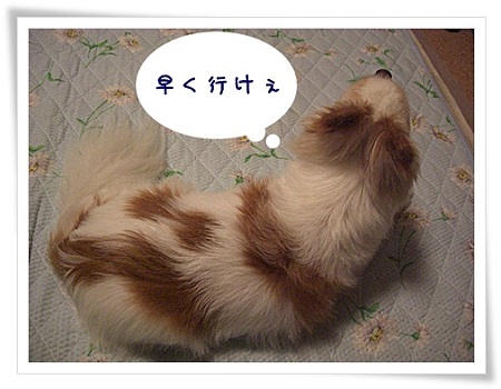 行け