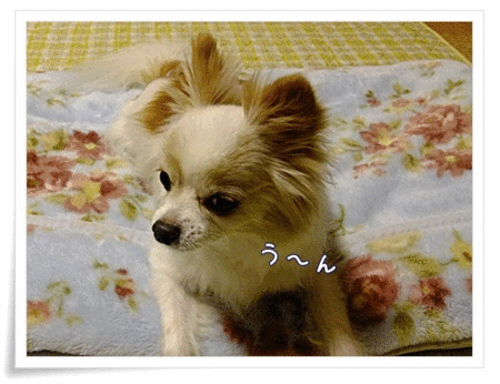 おかしい