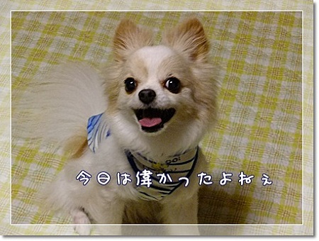 えらかった♪