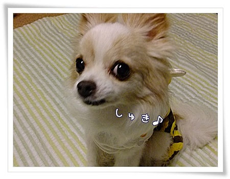 好き