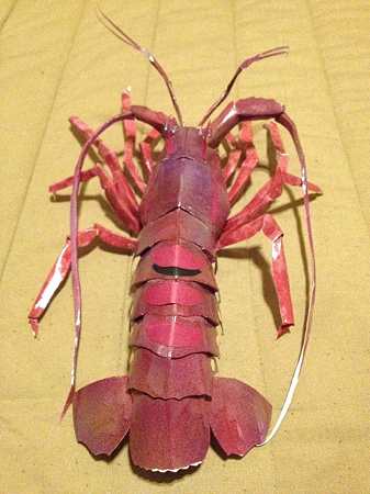伊勢えび後ろから