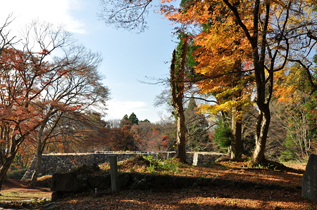 高取城跡の紅葉-6