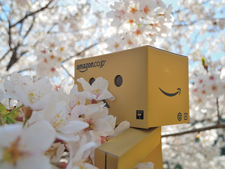 ダンボーと花見・1