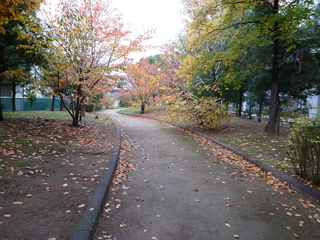 堺_紅葉 (2)