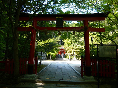 2011.5.8 068