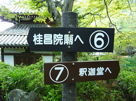 2011.5.8 100