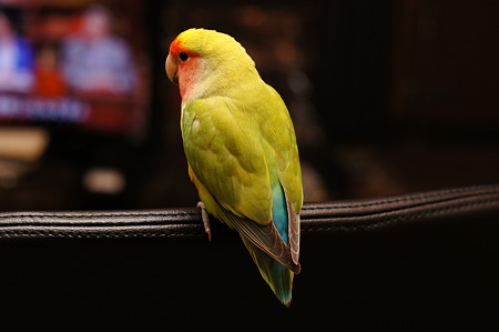 DSC04892