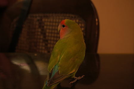 DSC00616