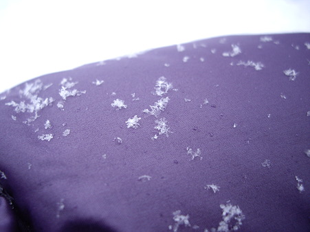 雪の結晶でテンション↑