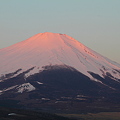Photos: 紅富士の始まり（20120327)